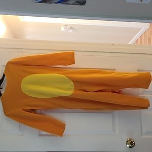 Charizard costume